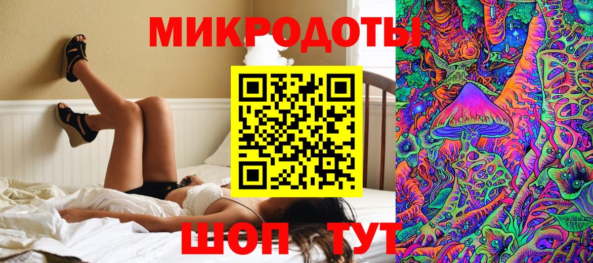 Волхов  Галлюциногенные грибы ЛСД  Вход с VPN  Псилоцибиновые грибы прущие грибы 