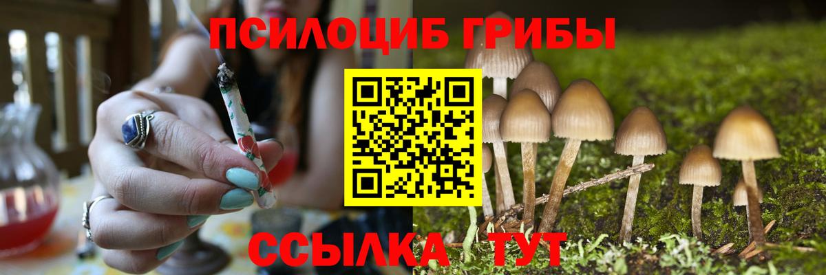 Галлюциногенные грибы прущие грибы Волхов